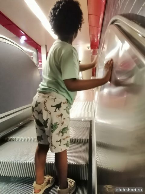 �������� ��������� ��������� � �����